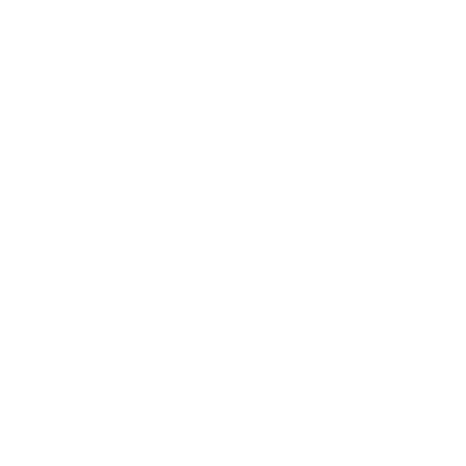 Chief Manager Inventor