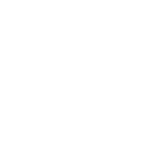 Manager Chief Soldier